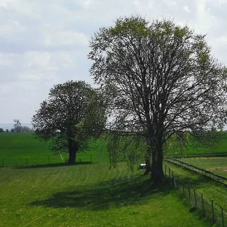 Haffblick Apartment *